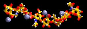 1-hyaluronic-acid-molecular-model-dr-mark-j-winter