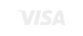 visa payments online
